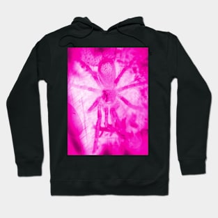 Tarantula Spiderling V13 Hoodie